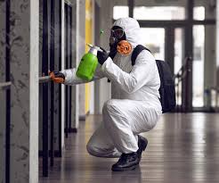 Hermosa Beach, CA Mold Removal Services Company